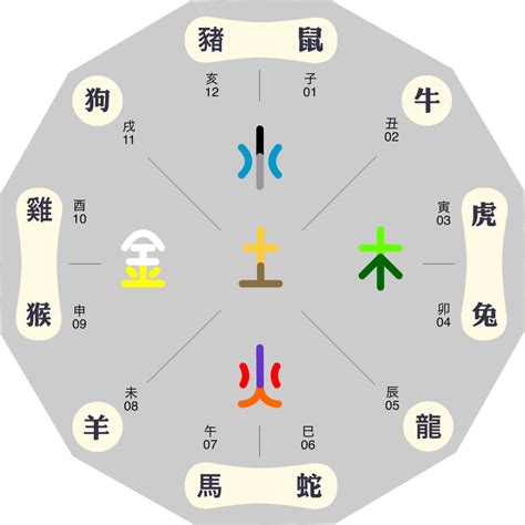 龍五行屬性|龍生肖五行配對指南